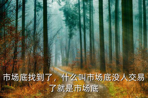 市場(chǎng)底找到了，什么叫市場(chǎng)底沒(méi)人交易了就是市場(chǎng)底