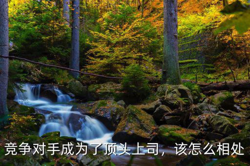 競爭對手成為了頂頭上司，該怎么相處