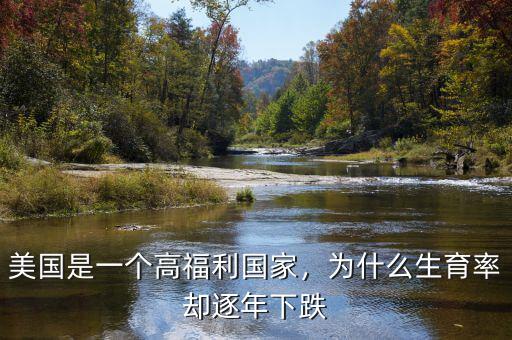 美國是一個高福利國家，為什么生育率卻逐年下跌