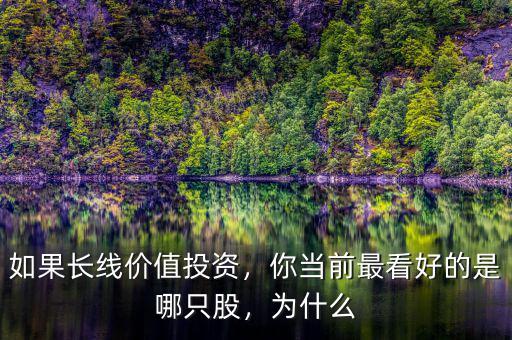 如果長線價(jià)值投資，你當(dāng)前最看好的是哪只股，為什么