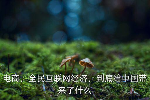 電商，全民互聯(lián)網(wǎng)經(jīng)濟，到底給中國帶來了什么