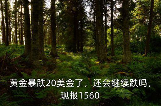 黃金暴跌20美金了，還會(huì)繼續(xù)跌嗎，現(xiàn)報(bào)1560