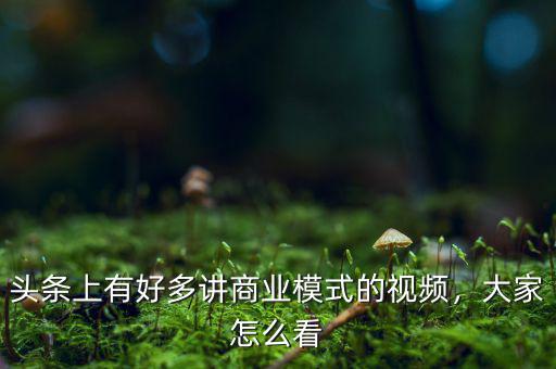 頭條上有好多講商業(yè)模式的視頻，大家怎么看