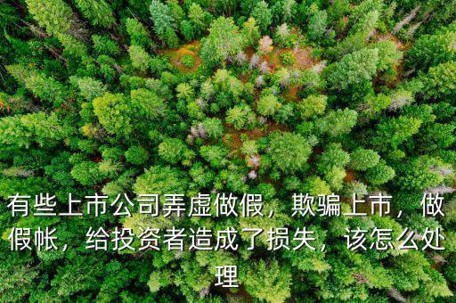 有些上市公司弄虛做假，欺騙上市，做假帳，給投資者造成了損失，該怎么處理