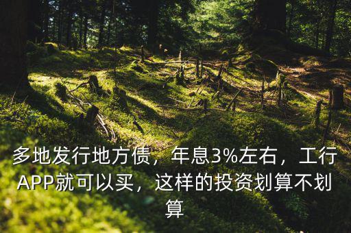 多地發(fā)行地方債，年息3%左右，工行APP就可以買(mǎi)，這樣的投資劃算不劃算