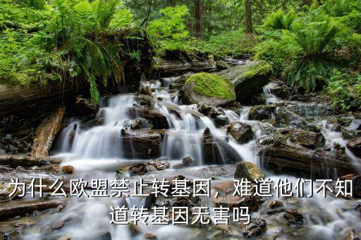為什么歐盟禁止轉基因，難道他們不知道轉基因無害嗎