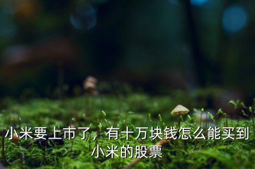 小米要上市了，有十萬塊錢怎么能買到小米的股票