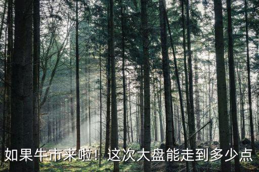 如果牛市來(lái)啦！這次大盤(pán)能走到多少點(diǎn)