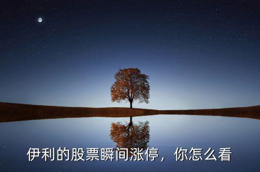 伊利的股票瞬間漲停，你怎么看