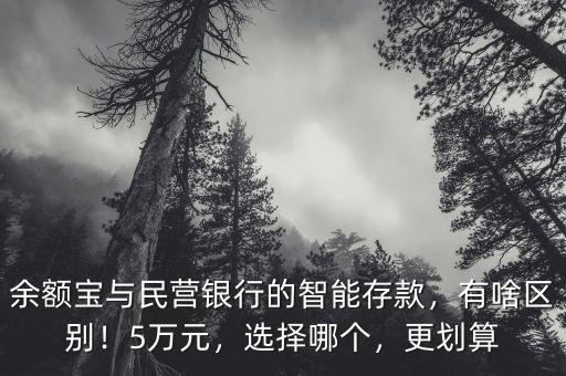 余額寶與民營銀行的智能存款，有啥區(qū)別！5萬元，選擇哪個(gè)，更劃算
