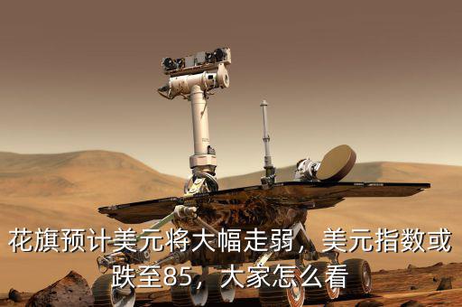花旗預(yù)計(jì)美元將大幅走弱，美元指數(shù)或跌至85，大家怎么看