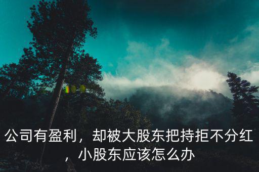 公司有盈利，卻被大股東把持拒不分紅，小股東應(yīng)該怎么辦