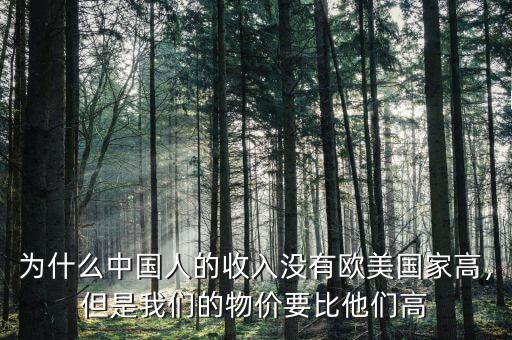 為什么中國人的收入沒有歐美國家高，但是我們的物價(jià)要比他們高