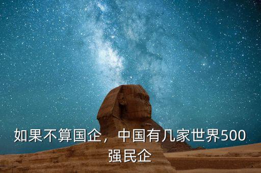如果不算國(guó)企，中國(guó)有幾家世界500強(qiáng)民企