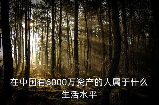 在中國有6000萬資產(chǎn)的人屬于什么生活水平