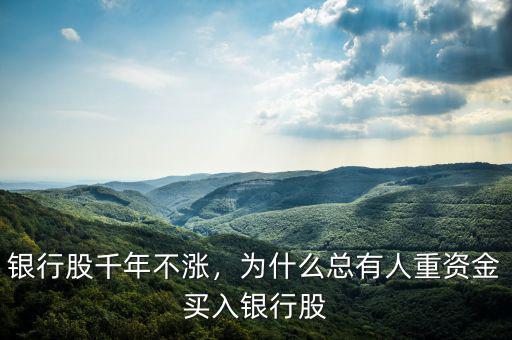 銀行股千年不漲，為什么總有人重資金買入銀行股