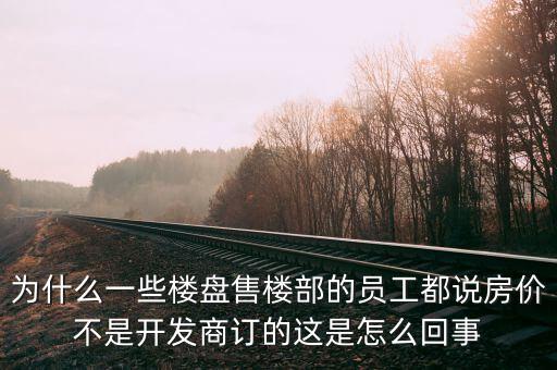 為什么一些樓盤售樓部的員工都說房價(jià)不是開發(fā)商訂的這是怎么回事