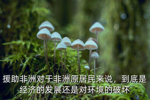 援助非洲對于非洲原居民來說，到底是經(jīng)濟的發(fā)展還是對環(huán)境的破壞