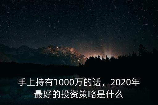 手上持有1000萬的話，2020年最好的投資策略是什么
