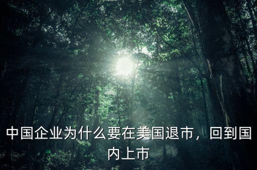 中國(guó)企業(yè)為什么要在美國(guó)退市，回到國(guó)內(nèi)上市