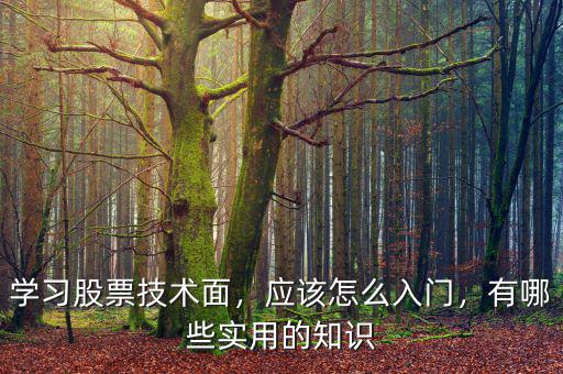 學(xué)習(xí)股票技術(shù)面，應(yīng)該怎么入門，有哪些實用的知識