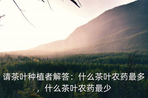 請(qǐng)茶葉種植者解答：什么茶葉農(nóng)藥最多，什么茶葉農(nóng)藥最少