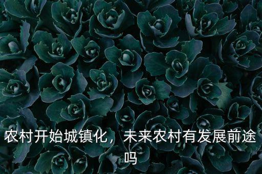 農村開始城鎮(zhèn)化，未來農村有發(fā)展前途嗎