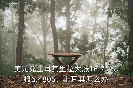 美元兌土耳其里拉大漲16.71%，報6.4805，土耳其怎么辦