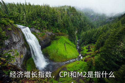 經(jīng)濟(jì)增長指數(shù)，CPI和M2是指什么