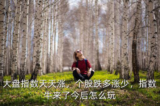 大盤指數(shù)天天漲，個股跌多漲少，指數(shù)牛來了今后怎么玩
