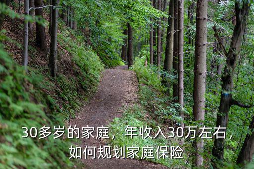 30多歲的家庭，年收入30萬左右，如何規(guī)劃家庭保險(xiǎn)