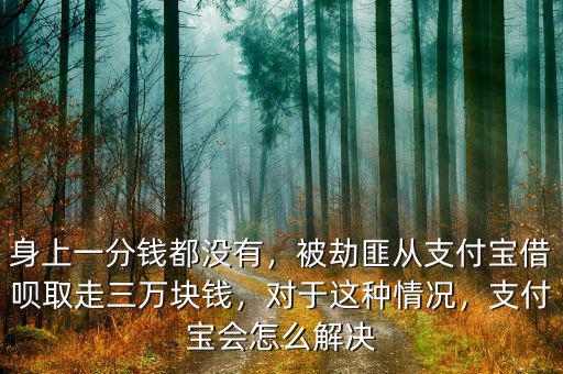 身上一分錢都沒有，被劫匪從支付寶借唄取走三萬塊錢，對(duì)于這種情況，支付寶會(huì)怎么解決