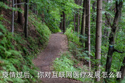 疫情過后，你對互聯(lián)網(wǎng)醫(yī)療發(fā)展怎么看