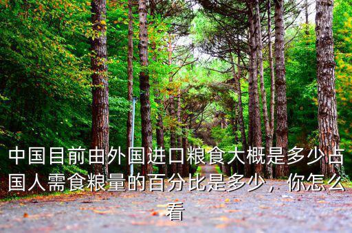 中國目前由外國進口糧食大概是多少占國人需食糧量的百分比是多少，你怎么看