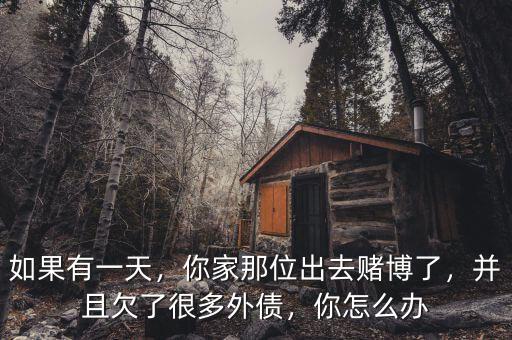 如果有一天，你家那位出去賭博了，并且欠了很多外債，你怎么辦