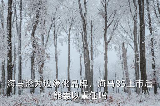 海馬淪為邊緣化品牌，海馬8S上市后能委以重任嗎