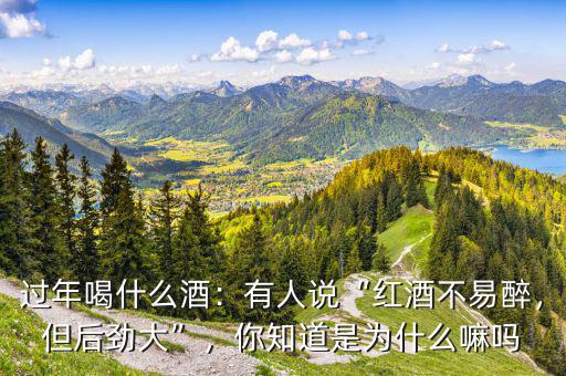 過年喝什么酒：有人說“紅酒不易醉，但后勁大”，你知道是為什么嘛嗎