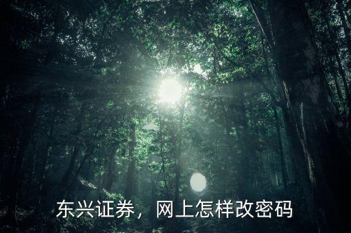 東興證券，網(wǎng)上怎樣改密碼