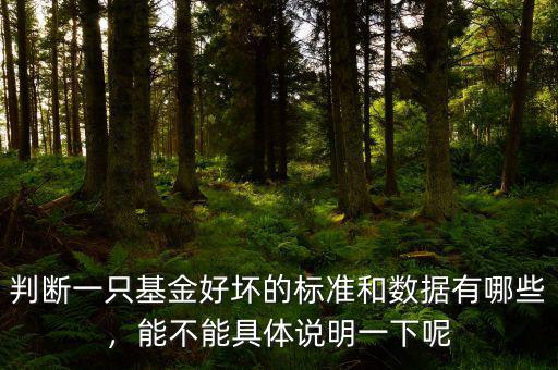 判斷一只基金好壞的標(biāo)準(zhǔn)和數(shù)據(jù)有哪些，能不能具體說明一下呢