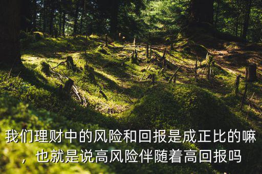 我們理財(cái)中的風(fēng)險(xiǎn)和回報(bào)是成正比的嘛，也就是說高風(fēng)險(xiǎn)伴隨著高回報(bào)嗎