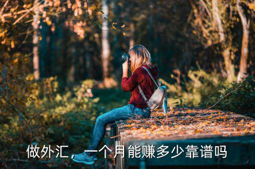 做外匯，一個月能賺多少靠譜嗎