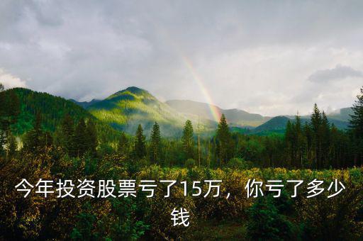今年投資股票虧了15萬，你虧了多少錢
