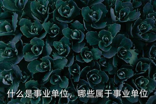 什么是事業(yè)單位，哪些屬于事業(yè)單位