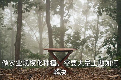 什么是土地規(guī)?；?jīng)營,規(guī)?；?jīng)營有哪些好處