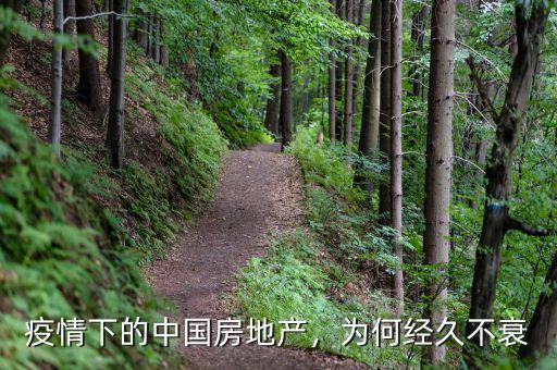 疫情下的中國房地產(chǎn)，為何經(jīng)久不衰