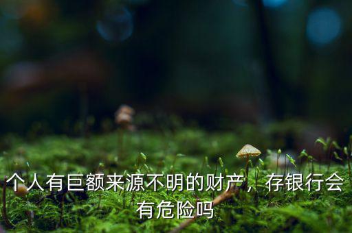 個人有巨額來源不明的財產(chǎn)，存銀行會有危險嗎