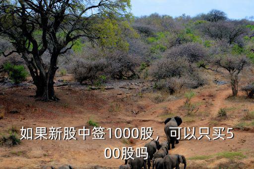 如果新股中簽1000股，可以只買500股嗎