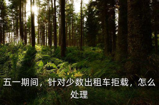 五一期間，針對少數(shù)出租車拒載，怎么處理