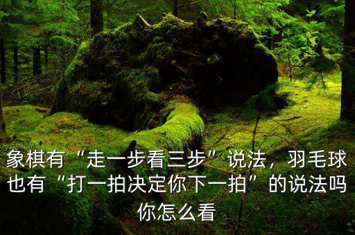 象棋有“走一步看三步”說法，羽毛球也有“打一拍決定你下一拍”的說法嗎你怎么看