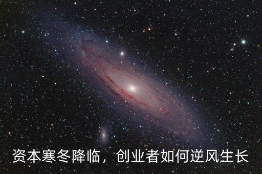 資本寒冬降臨，創(chuàng)業(yè)者如何逆風生長